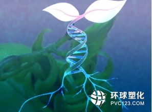 生物基材料技術在工程樹脂原料開發(fā)中的前沿路徑