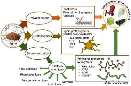 生物基高分子材料 化學合成與材料加工的融合與發(fā)展——Polymer Science領域綜述
