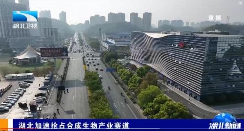 安琪酵母勇擔鏈主角色 共建湖北省合成生物產業技術創新聯合體，加速搶占生物經濟新賽道